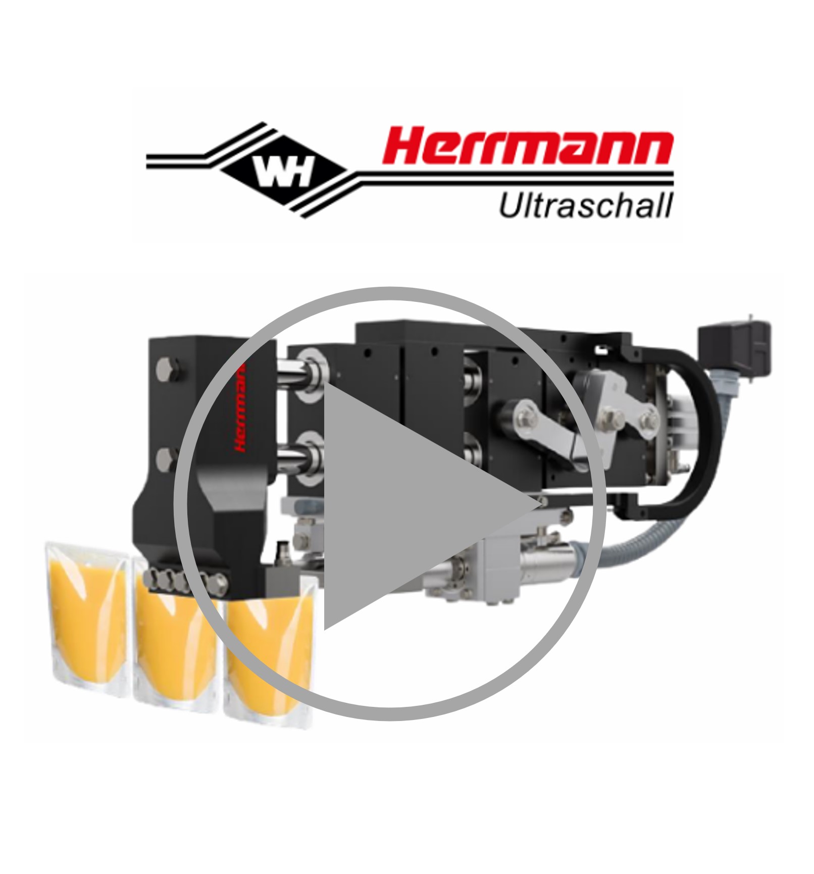 Herrmann_Marketo.jpg